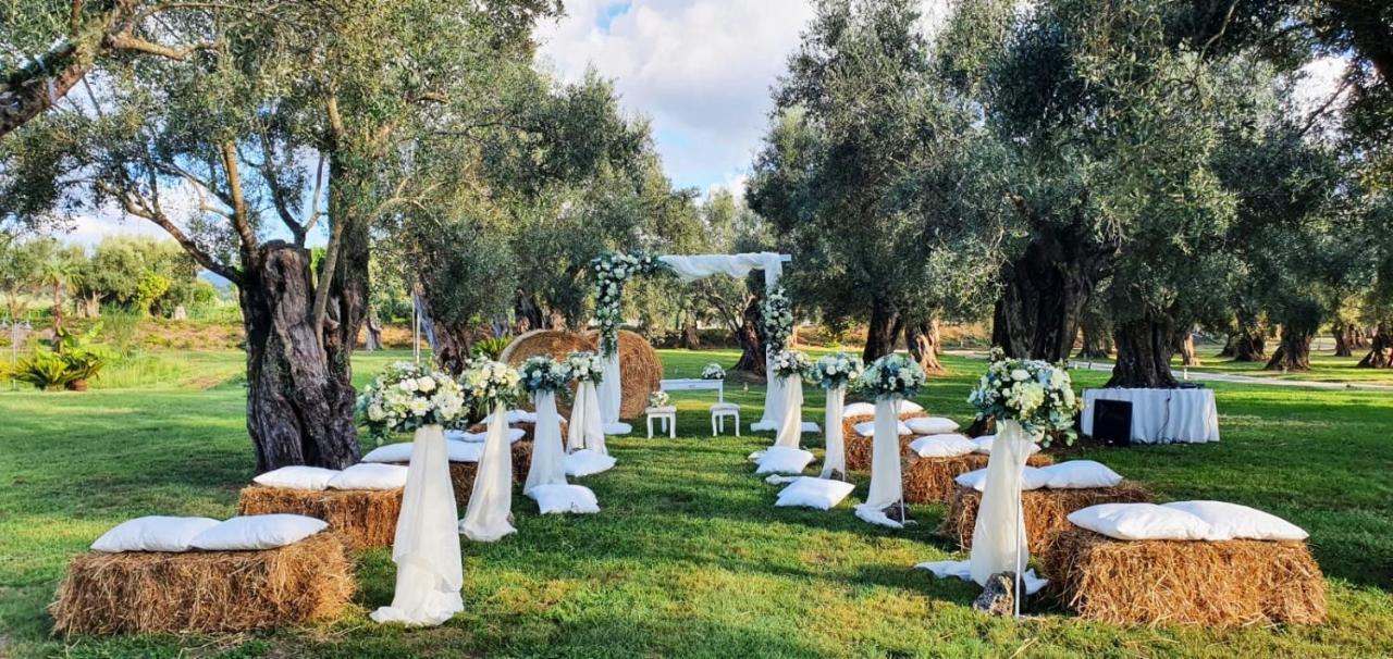 Uliveto Principessa Cittanova (Calabria)